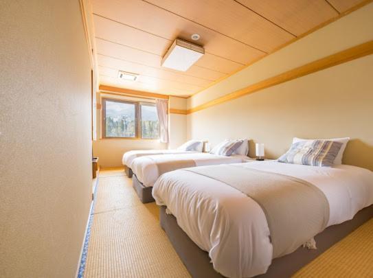 Red Fox Lodge 妙高 外观 照片